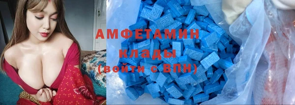 гашик Новодвинск