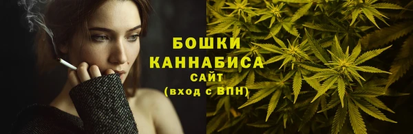 гидропоника Пересвет