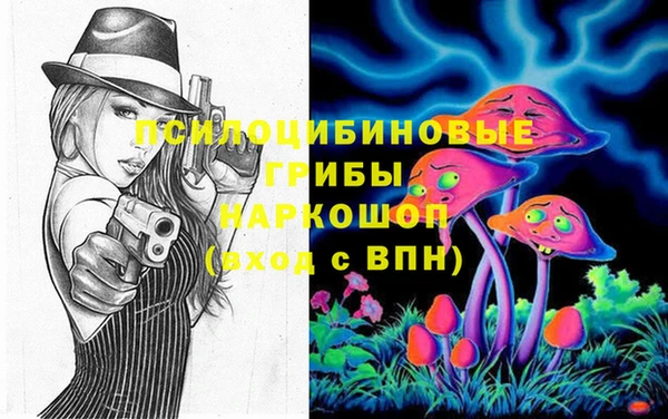 стаф Абаза