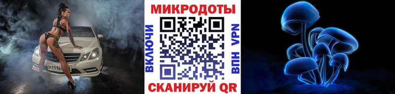 Псилоцибиновые грибы Psilocybe  где купить наркоту  Белоусово 
